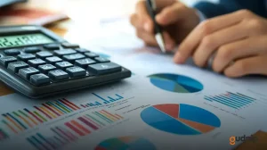 Plano financeirO pessoal para iniciantes: Como conquistar a liberdade financeira?