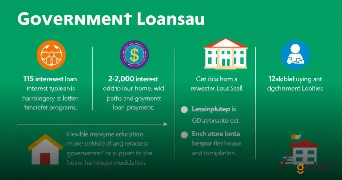 Benefits of Government Loan Programs