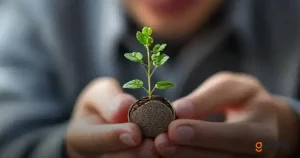 Low-Risk Investment Ideas for Small Capital: 9 Options to Consider
