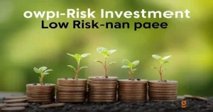 Low-Risk Investment Options for Small Budgets You Need